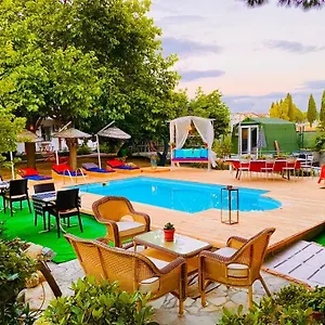 book here
